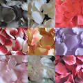 500 Silk Rose Petals in Various Colours - Great Value - Wedding Tables