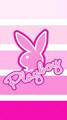 Playboy Spicy Towel